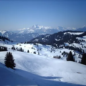 Appartement La Boule De Neige, Les Gets